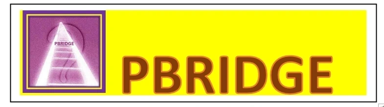 Pbridge Consultancy from Hyderabad is an Organization